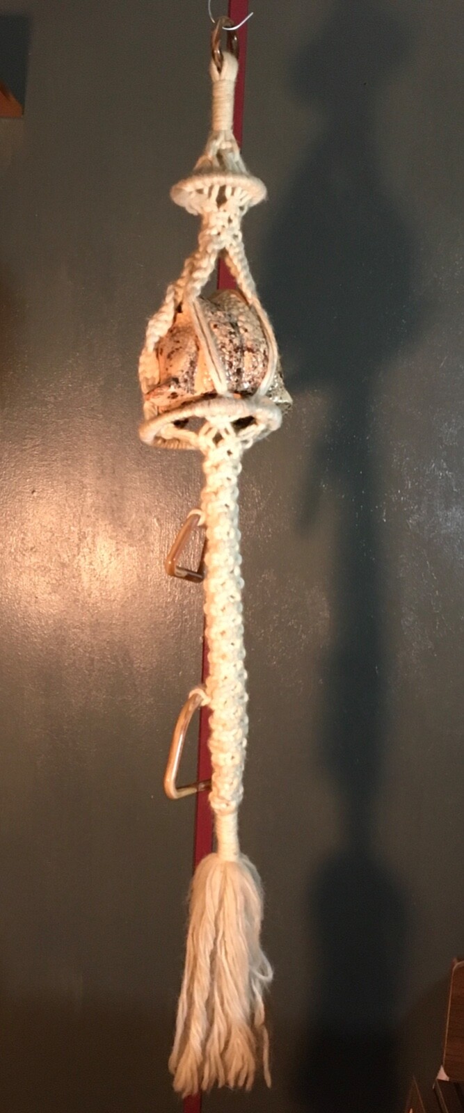 Picture 16 of 17