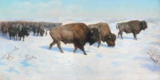 Bison in the Snow by Rosa Bonheur Museum Giclee Art Print Ships Free