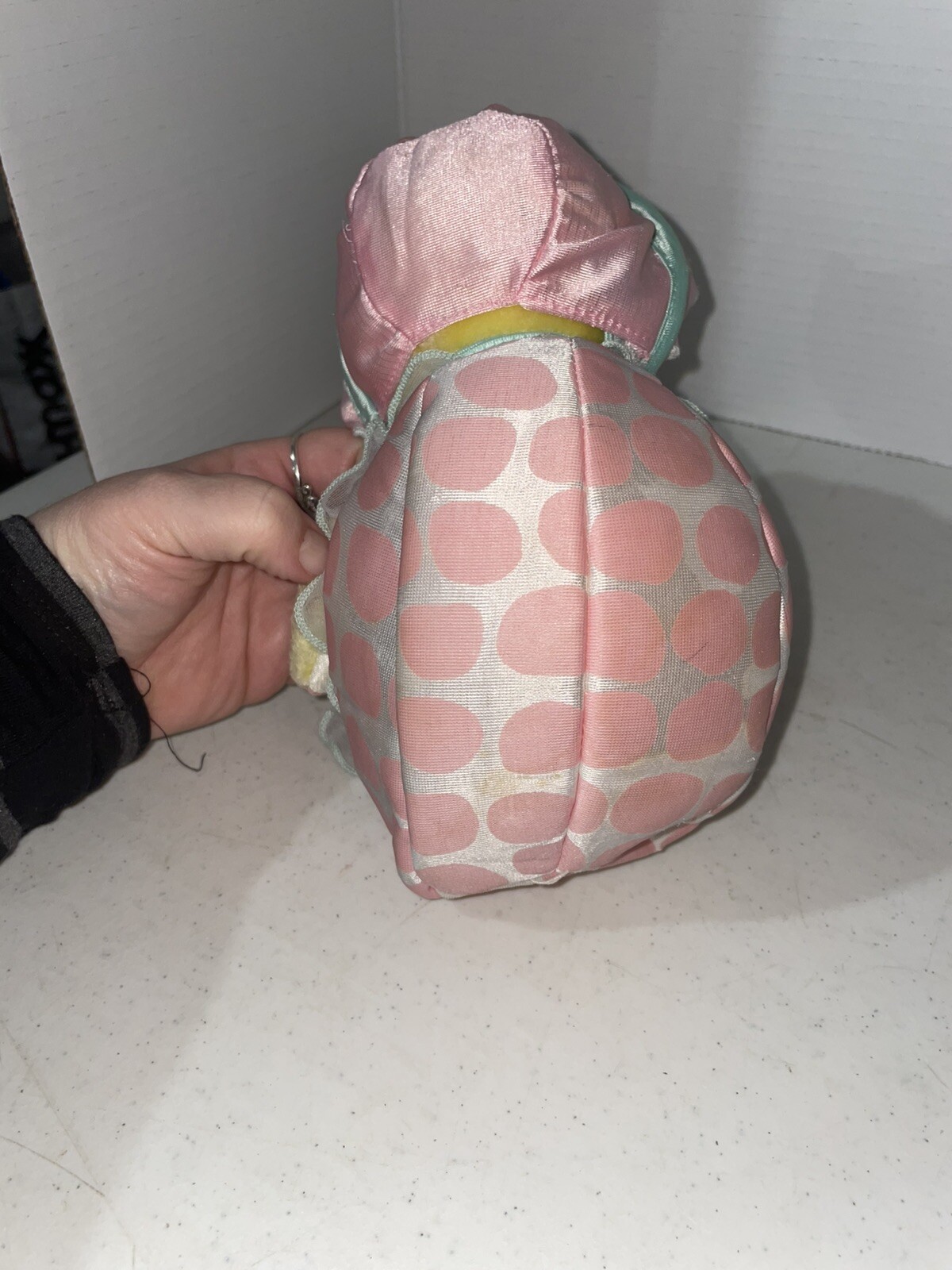 Picture 5 of 5