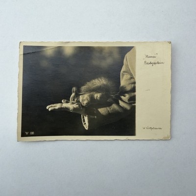 1951 Badgastein Austria RPPC Hansi Squirrel Fotohaus Wolfsbauer Postcard
