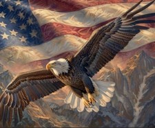 5D DIY Independence Day Diamond Art Kits for Adults, US Flag Eagle JX0121-US