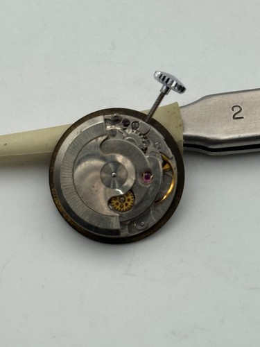 Rewel Automatic Old Diver Movement - Picture 2 of 2