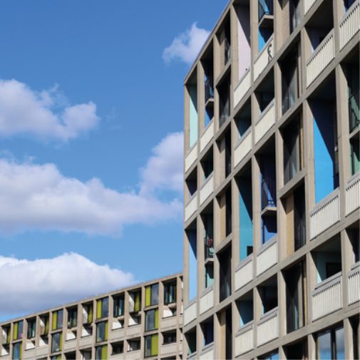 The Wedding Present 24 Songs (Vinyl LP) 12" Album Box Set With DVD