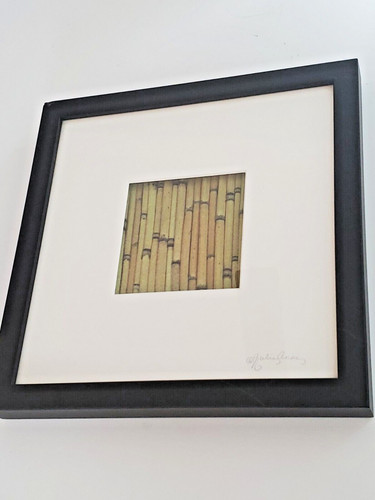 Vintage Framed JULIE ANNE dried bamboo art 11x11 SIGNED pressed flower floral