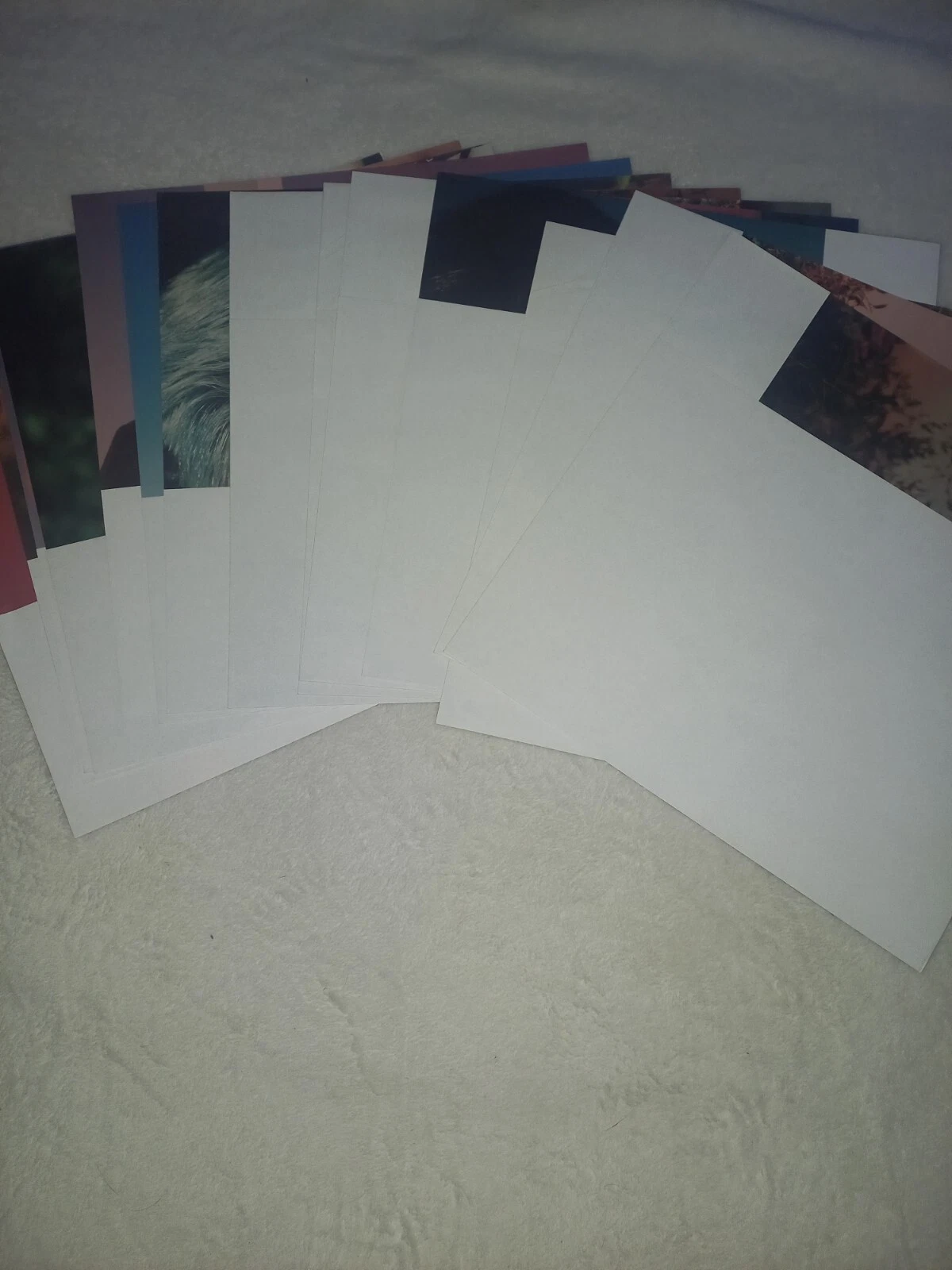 Picture 3 of 3