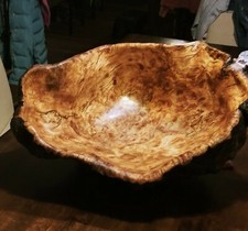 Rare Huge Burl Wood Bowl
