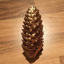 Goldener Fichten- Tannenzapfen echtes Naturprodukt Schwarzwald Deko Weihnachten