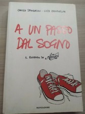 A un passo dal sogno, Chicco Sfondrini, Luca Zanforlin, il romanzo di Amici