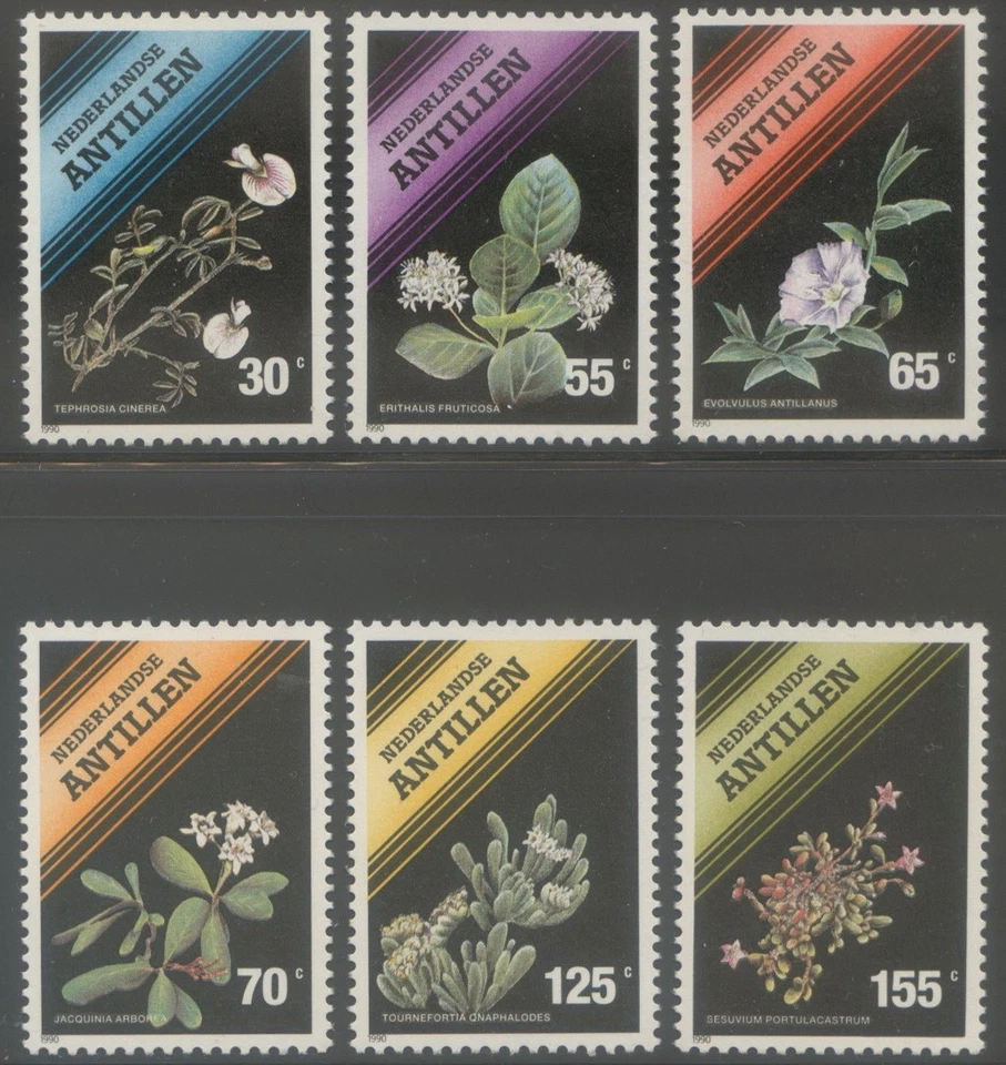 Neth.Antilles 1990 MNH**Flowers*Plants*Gray Hoarypea*Blacktorch*Torchwood*Lavend - Photo 1/1