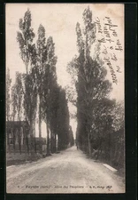 CPA Feyzin, Allée des Peupliers 