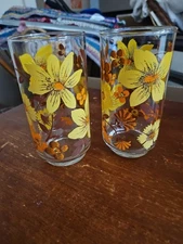 2 Vtg. Libbey  Drinking Glass  floral Pattern