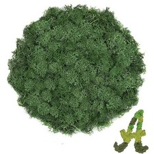 3.5 OZ Dark Green Reindeer Moss, Preserved Moss for Plants, Moss Decor, Green...