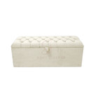 Winters Sale on Ottoman Storage Box/ Blanket Box  in Plush and crushed velvet