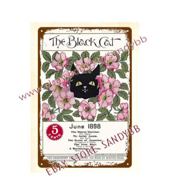 metal Decorative Collectibles wall decor 1898 Black Cat 1898 metal tin sign