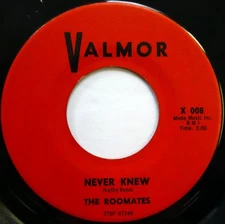 The ROOMATES 45 Glory of Love/Never Knew VALMOR doo wop NM ws798