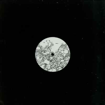 Pehr Genlogue / DUNKEL / DISOBEDIENCE (VINYL ONLY) / Distra / DIS001 / 12 Inch