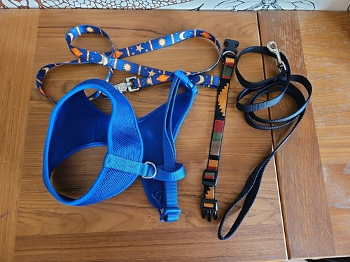 Super Cute Small Blue Dog Harness, Collar And 2 Leash Lot Good For A New Puppy!