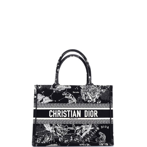Christian Dior Book Tote Embroidered Canvas Medium