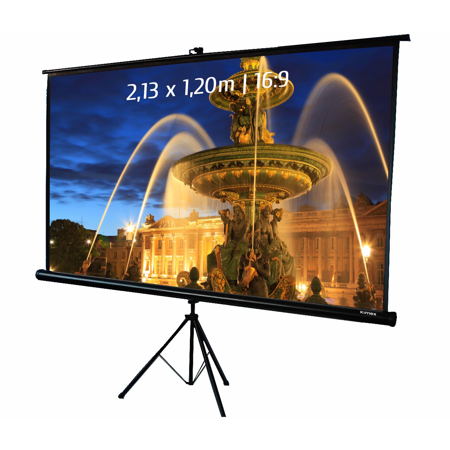 Ecran de projection trépied 16:9 de 2,13 x 1,20m avec toile blanche mate pour vidéoprojecteur salon