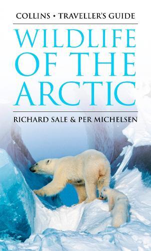 Thumbnail - Richard Sale Wildlife Of The Arctic (taschenbuch) Traveller’s Guide