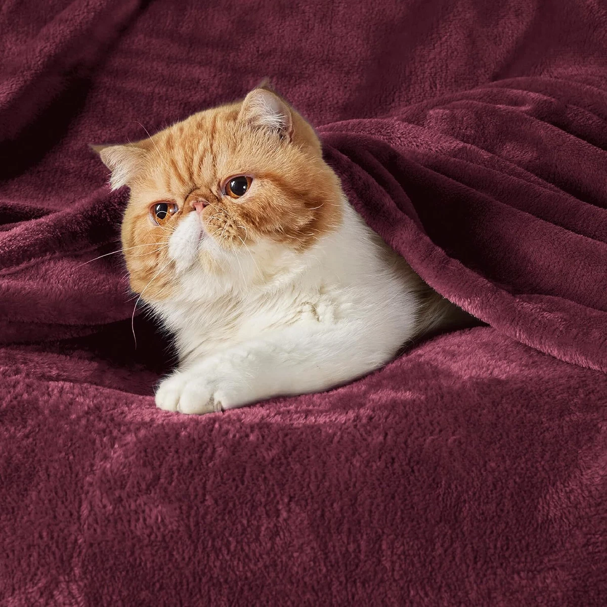 Bedsure Fleece Blanket Twin Burgundy 60