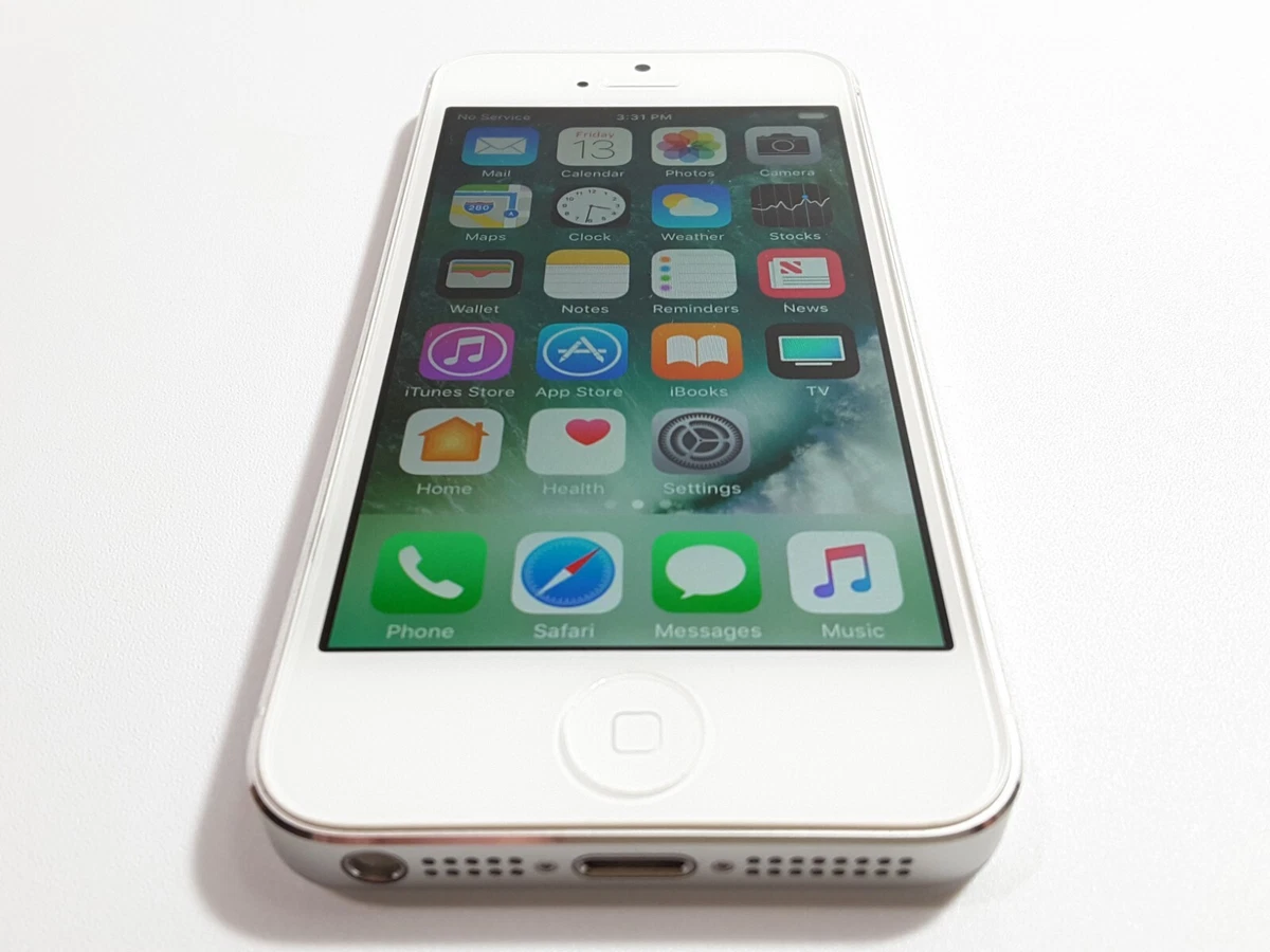 Iphone 5c White Screen
