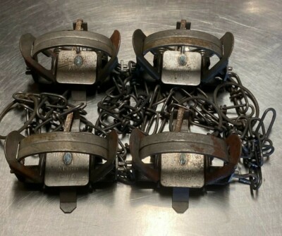 Conibear Traps 6 Duke #1 Coil Spring Traps (Trapping Supplies Raccoon ...