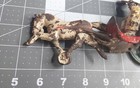 Bild 5 von 19