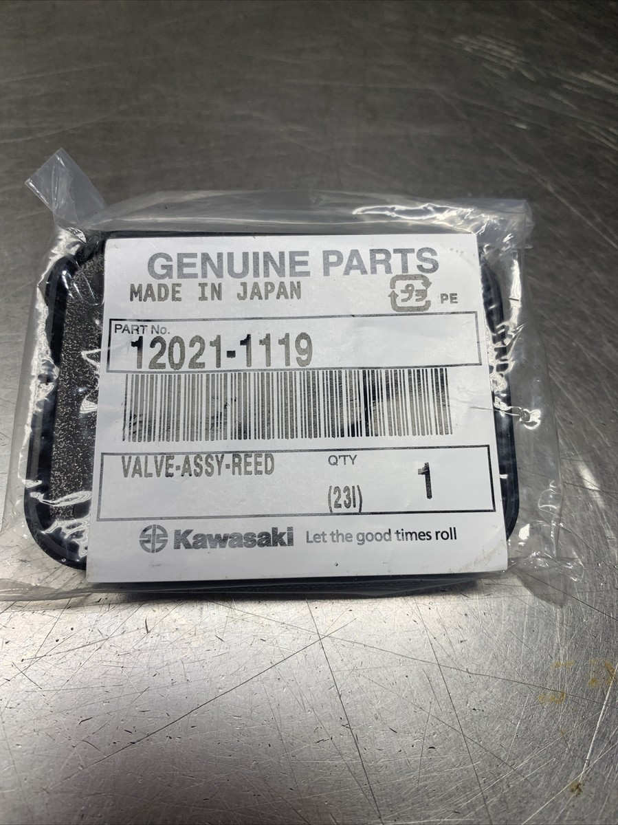 NEW Kawasaki OEM Valve Assembly Reed 00-08 ZX600 01-03 ZX750