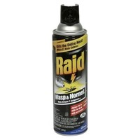 Raid Wasp & Hornet Killer Spray, 14 Oz, Pack Of 4 Raid Wasp & Hornet Killer Spray, 14 Oz, Pack Of 4