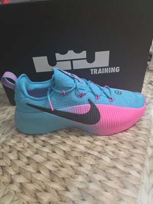 Nike Lebron TR 1 Dusty Cactus Black Pink Blast (FJ6151 301) Men's Size 11