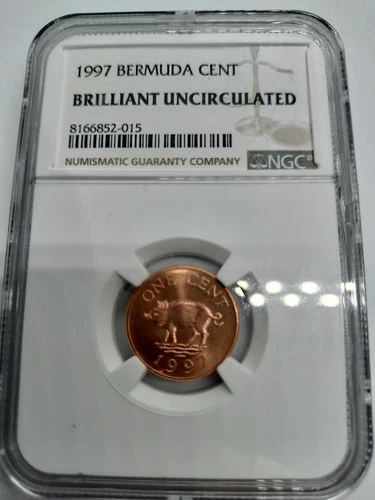NGC BRILLANT UNC 1997 Bermuda Pig Cent / 49