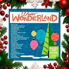 Various - Winter Wonderland Best Of 26 Christmas Holiday Songs 2 LP Vinyl Record