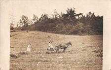 Franklinton New York Woman on Horse Carriage Real Photo Postcard JE229422