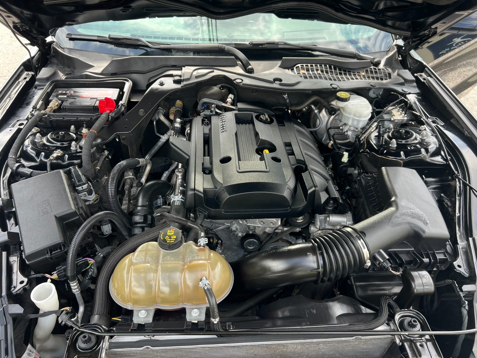 Ford Mustang - Image 18