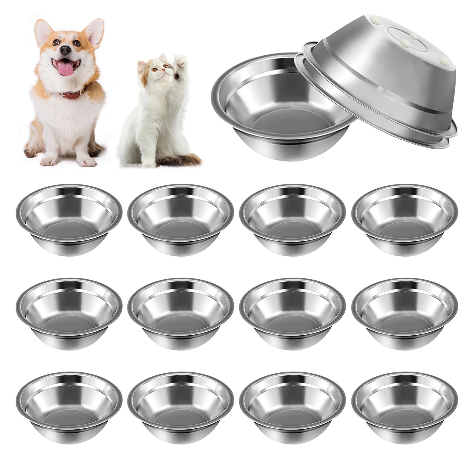 Bowl, Small Dogs