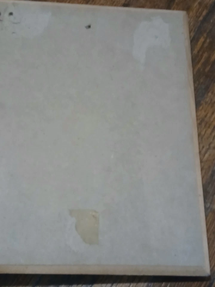 Unicorn Rearing Colt de Hyatt - Marco de madera de 9" The Silvery Fantasy Foto 2 de 2