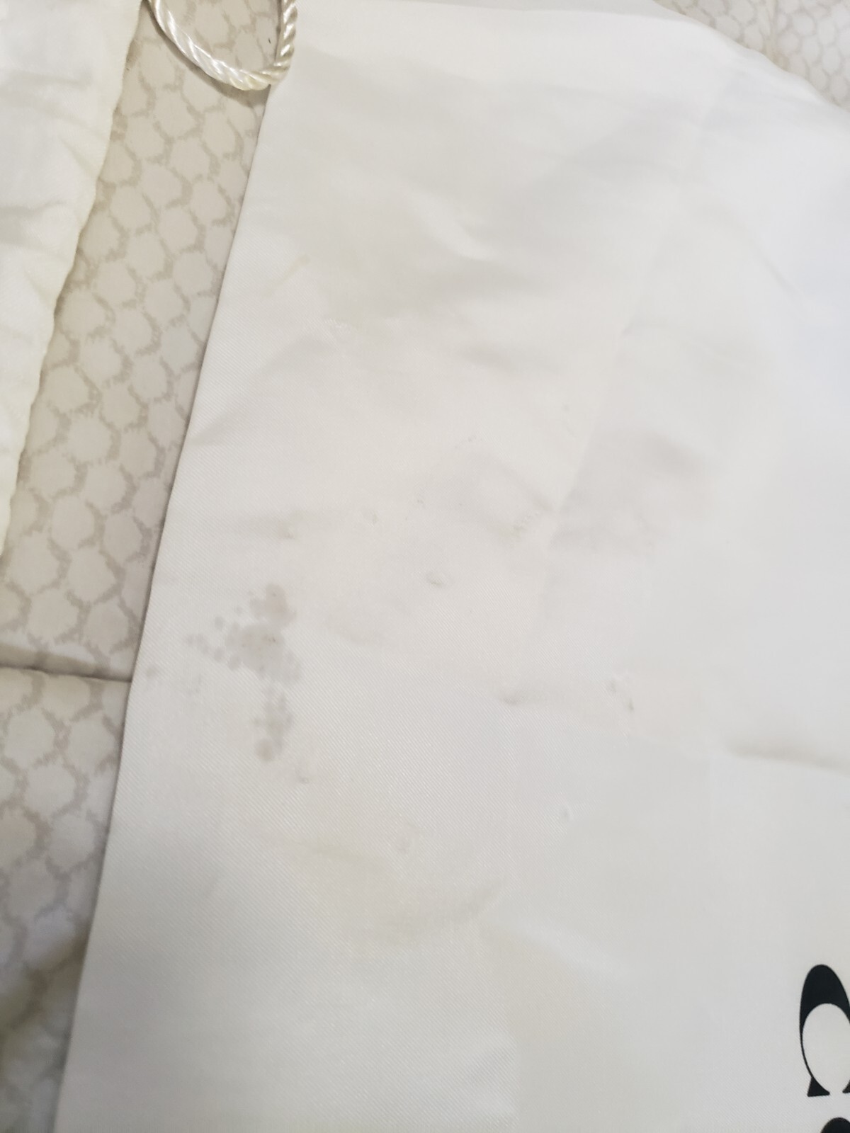 Authentic Coach Sleeper Bag Dust Cover Bag X2 Gem