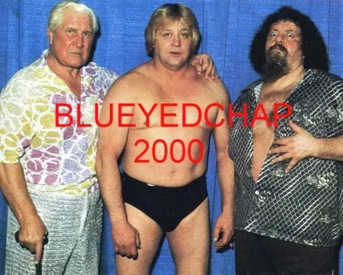 Ray stevens cheap wrestler