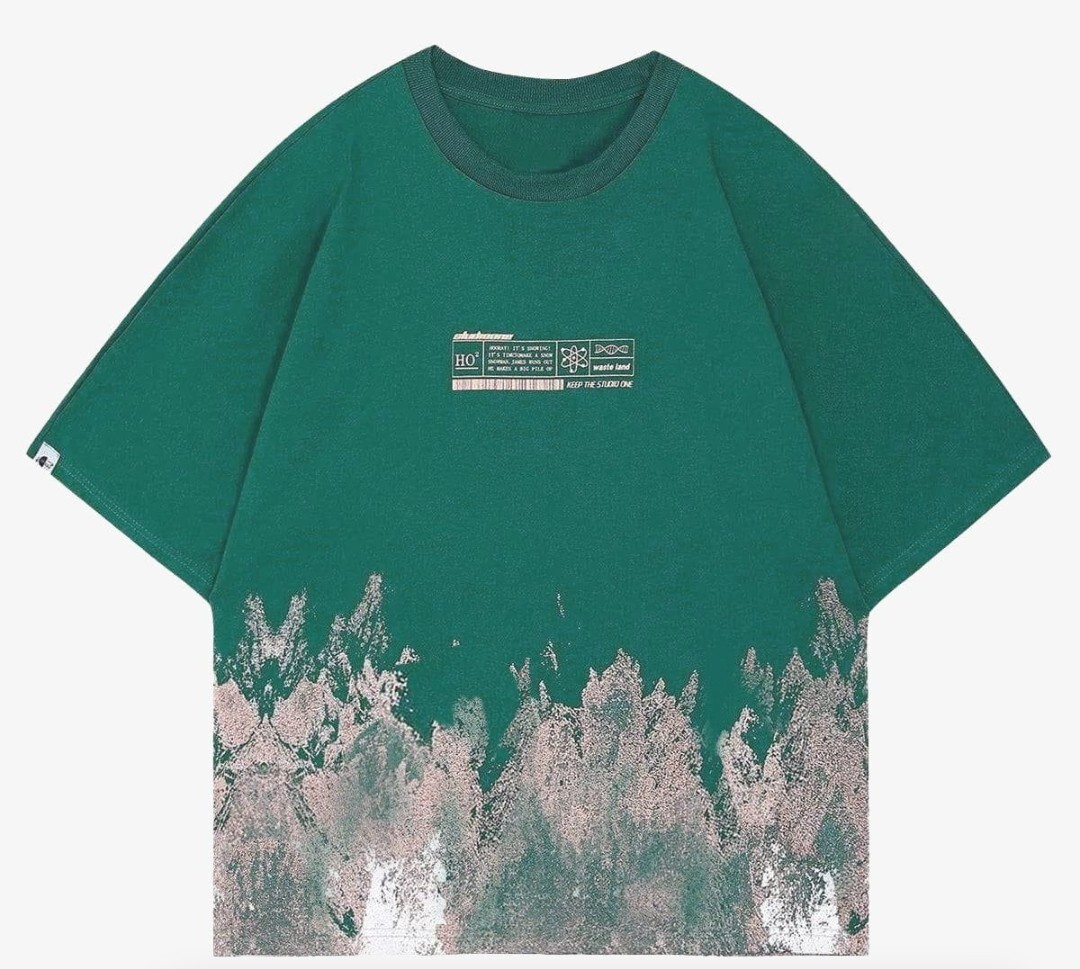 【Aelfric Eden】スノー マウンテン グラフィティ Tシャツ Aelfric Eden Snow Mountain Graffiti TEE XL NWT | eBay