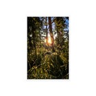 Bild 8 von 13