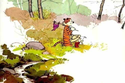 Calvin und Hobbes Leinwand Wandbild Kunstdruck - Kinder Cartoon gerahmt Wandbehang - Bild 3 von 11