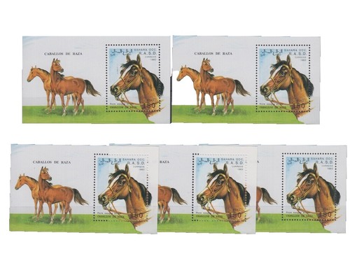 馬の画 干支コレ 作品紹介】#上田市立美術館（サントミューゼ）《野生馬》 現