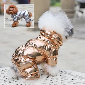 chihuahua jackets uk