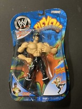 The Hurricane Poseable WWE FLEX'EMS 2003 Action Figure Flexems Shane Helms