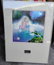 lithograph signed numbered framed