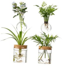Plant Propagation Stations, 2 Style Glass Planter Terrariums, Propagation 4