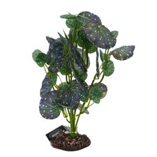 Betta Terra Spotted Begonia Plant 28cm Tropical Terrrium Decoration