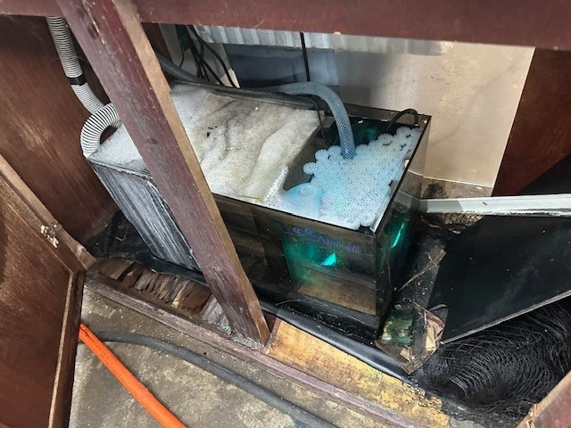 USADO 90 GALONES PECERA, SOPORTE, DOSEL, SUMIDERO Y LUZ Foto 3 de 3