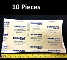 10 LARGE ThermoSafe Polar Pack Foam Brick Freezer Cold Ice Pack 9"x4.75"x0.75" 
